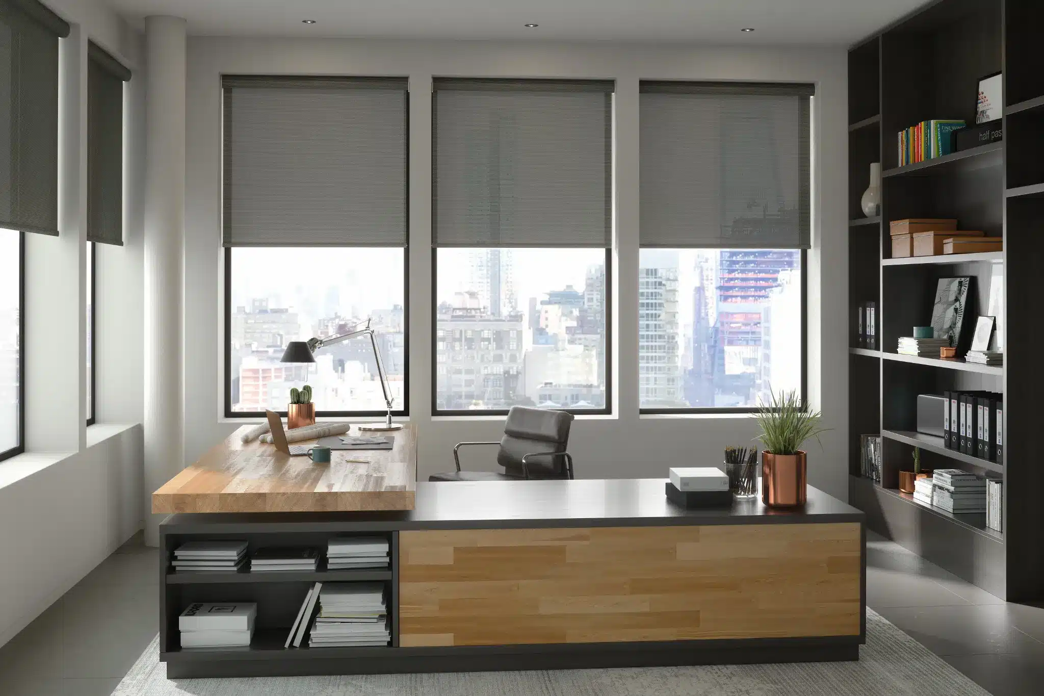 Solar Shades Condo View (2)